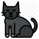 Blackcat  Icon