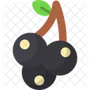 Blackcurrant  Icon