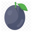 Blackcurrant Genus Vitis Organic Icon