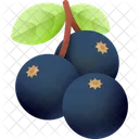 Blackcurrant Fruit Organic Icon