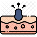 Blackhead Skin Dermatology Icon