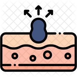 Blackhead  Icon