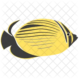 Blacktail Butterfly Fish Icon
