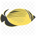 Blacktail Butterfly Fish Icon