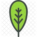 Blackthorn Leaf Nature Icon