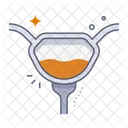 Bladder Icon