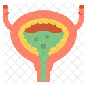 Human Organ Urinary Bladder Pipe Icon