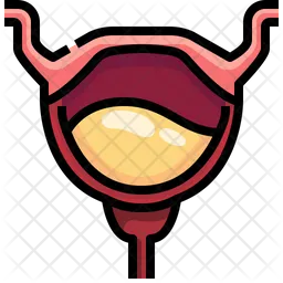 Bladder  Icon