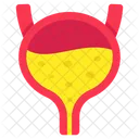 Bladder  Icon