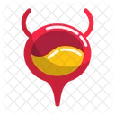 Bladder Organ Human Bladder Icon
