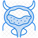 Bladder  Icon