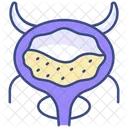 Bladder  Icon