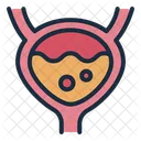 Bladder Urinary Organ Icon