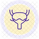 Bladder Line Icon Icon