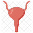 Bladder  Icon