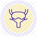 Bladder  Icon
