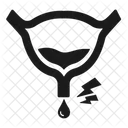Bladder  Icon