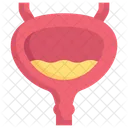 Anatomy Organ Biology Icon