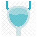 Organ Anatomy Bladder Ureter Icon