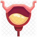 Bladder Organ Body Part Icône