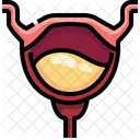 Bladder Organ Body Part Icône