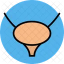 Bladder  Icon