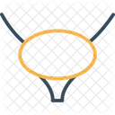 Bladder  Icon