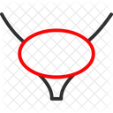 Bladder  Icon
