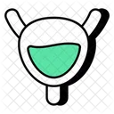 Bladder  Icon