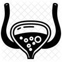 Bladder  Icon