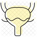 -bladder  Icon