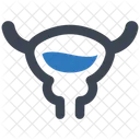 Bladder Organ  Icon