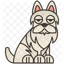 Blanco  Icono