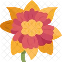 Blanket Flower Floral Icon