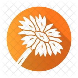 Blanket Flower  Icon