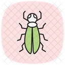 Blasenkäfer  Symbol
