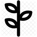 Blatt Zweige Pflanze Symbol