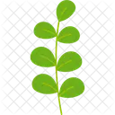 Fruhling Jahreszeit Sommer Symbol