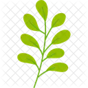 Fruhling Jahreszeit Sommer Symbol