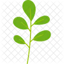 Fruhling Jahreszeit Sommer Symbol
