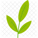 Fruhling Jahreszeit Sommer Symbol