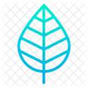 Okologie Natur Grun Symbol