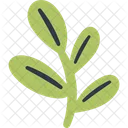 Blatt Zweig Grun Symbol
