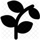 Blatt Zweige Pflanze Symbol