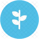 Blatt Zweige Pflanze Symbol