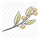 Blatt Zweig Beere Symbol