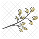 Blatt Zweig Pflanze Symbol