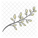 Blatt Zweig Pflanze Symbol