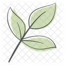 Blatt Zweig Pflanze Symbol