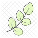 Blatt Zweig Pflanze Symbol